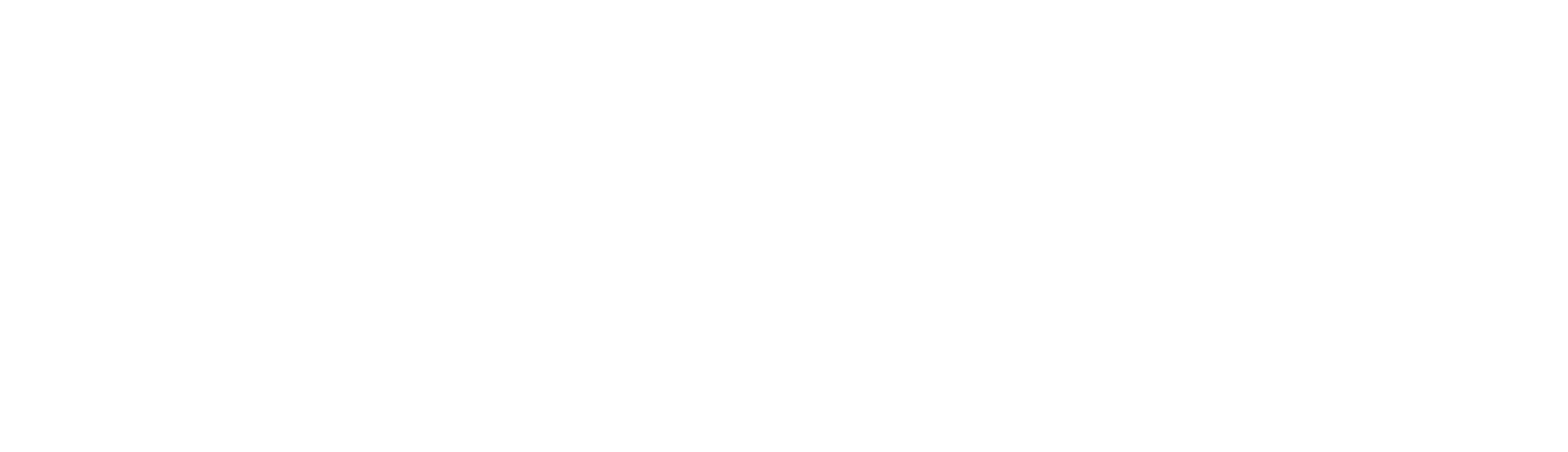 DITTORI